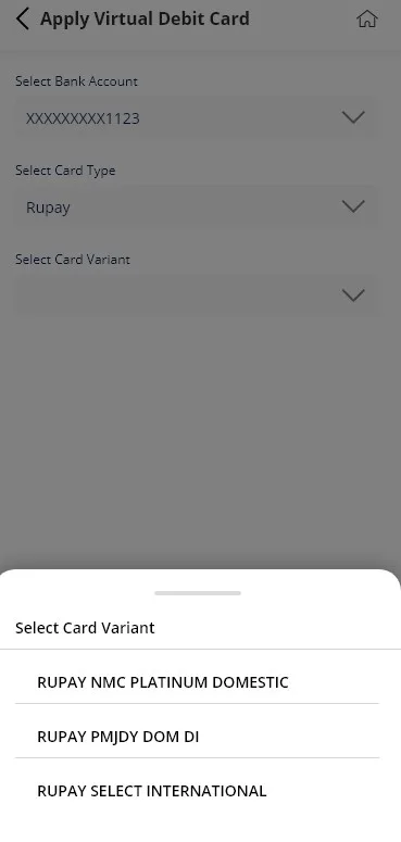 Virtual Debit Card